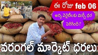 అన్ని రకాల మిర్చీకి ధర పెరిగింది?TODAY(06/02/2024 )#WARANGAL MARKET🌶️🌶️CHILLIES RATES ||#cotton rate