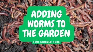 Adding Worms To The Garden #worms #garden