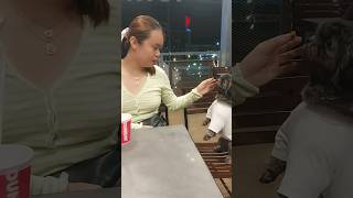 #mybeautifulwife #wife #sweetdog #koko #dunkindonuts #shortvideo #shorts