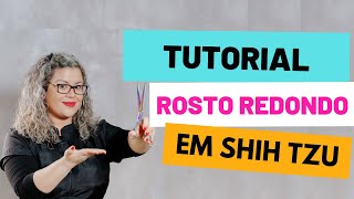 Como fazer um rostinho redondo perfeito em Shih Tzu - Passo a passo completo