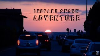 Leopard Sharks Jam