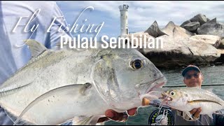 FLY FISHING PULAU SEMBILAN MALAYSIA