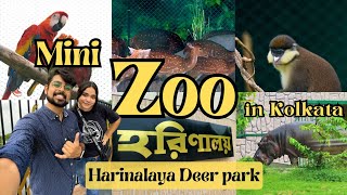 Mini Zoo in Kolkata 🦌 | Harinalaya Deer park | New Town | Better than Alipore Zoo? | Detailed vlog