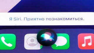 Как отключить управление голосом на iPhone 15.Как убрать Siri на айфоне