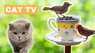 Calming TV for Cats - My Garden Birds - Relaxing Nature Music for Cats