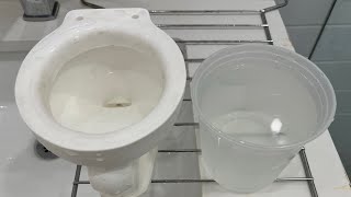 Miniature Saxonette Toilet Bucket Flushes!