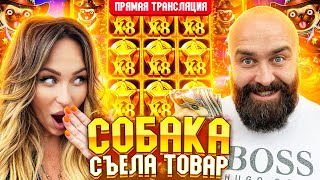 Хозяин и BetKat ТАЩАТ МАКСВИН в прямом эфире! заносы недели betkat