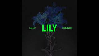 LILY - M.E.R.L.O.T con PiazzaBologna