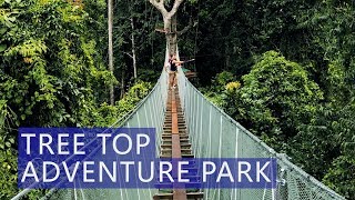 Tree Top Adventure Park | Price | Review | Avitip