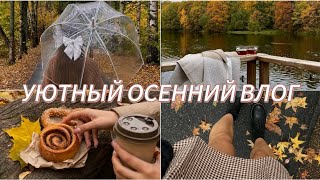 УЮТНЫЙ ОСЕННИЙ ВЛОГ/ РАСХЛАМЛЕНИЕ/МЕДЛЕННАЯ ЖИЗНЬ #тихийвлог