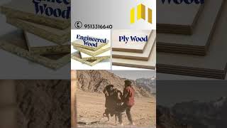 The Hilarious Truth - Engineered Wood Vs Plywood