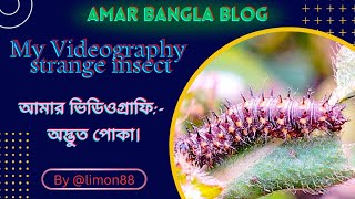 আমার ভিডিওগ্রাফি:)- অদ্ভুত পোকা। My Videography strange insect