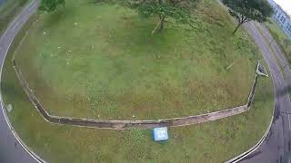 cruising over the trees #nazgul5  #digitalfpv  #5"quad