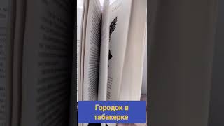 город в табакерке#букинистика #книги