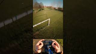 1 Fpv Drone vs the Bird!RAW !!! #shorts