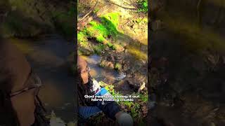 Natural flowing creek | perfect for meditation