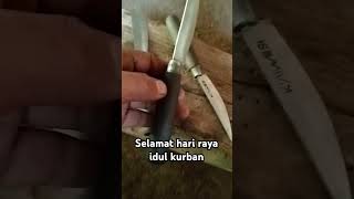 pisau idul adha kurban