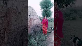 Sidhi sadhi jatti #punjabi song short video