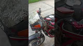 My Honda VT250 Damaged #foryou #bike #hondamotorcycles #damage