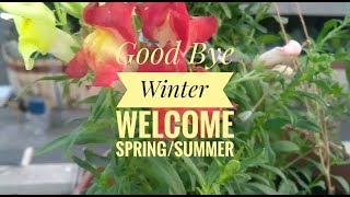 #gardenblogger Goodbye Winter Welcome Spring/Summer