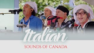 THE BEST ITALIAN MUSIC. Culinary and musical comedy show by the "The Rolling Stronz" band.