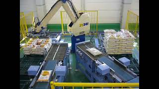 Fuji robot 2 in 2 out multi pickup palletizing bag | #roboticpalletizer #fujirobotics