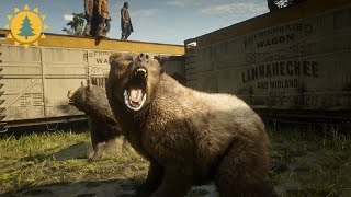 RED DEAD REDEMPTION 2 | Gang War & NPC Duel 15 | Animals VS npc