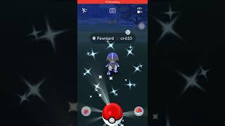 SHINY PAWNIARD POKÉMON GO #shorts #youtube #viral #trending #tiktok #pokemon