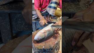 Amazing Rohu Fish Cutting Skills In Bangladesh Fish Market By Expert Cutter #shorts