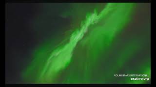 Auroras—Churchill, Canada 101124_03 (2x speed playback)