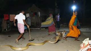 आधीरात गुस्सैल चंद्रनाग ने मचाया गांव में तांडव,फिर जो हुआ देखा होश उड़जाएंगे Dangerous Cobra rescue