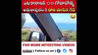 ఎటకారానికి c/o గోదారోళ్ళు 😎😎 || Godavari Man FUNNY Comedy With Cow || Telugu Comedy || @golinews