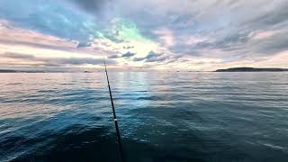 Fishing Sessions Episode 3 - Weymouth Stone Pier 1