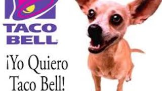 TACO BELL WORKER ATTEMPTED FOOD POISON IS NOW UNDER INVESTIGATION #ratpoison #fyp #youtube #4u #foru