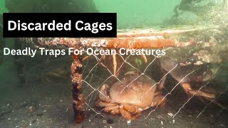 Crabs Trapped In Discarded Cages Off The Alaska Coast - Don't Just Litter Your Garbage Into The Sea