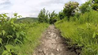 Grayson Highlands State Park