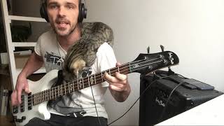 Phil Collins - easy lover (Bass cover) with cat )))