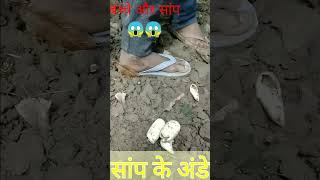 सांप के अंडे/🐍🐍 snake's egg 😱 गांव के लड़के 😱🐍🐍🐍