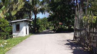 Lot in San Remigio Cebu North