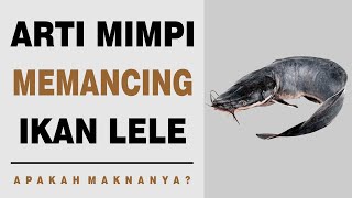 Arti Mimpi Memancing Ikan Lele