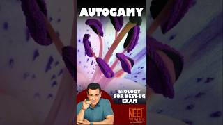 What is Autogamy ? | Type of Pollination | Class !2th Biology for NEET-UG | #neet #biology #science