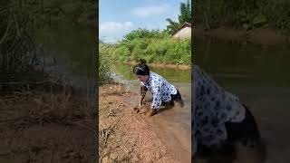 Amazing Rural Fishing Video 🐟 Best Asian Fishing Technique 🐟 #short #shorts #ytshorts #youtubeshorts