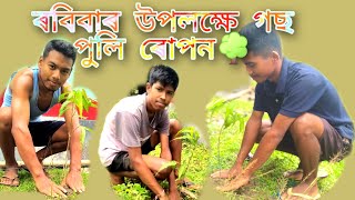 কিছু কম পৰিমাণে হলেও গছ পুলি ৰোপন কৰিলোঁ 🌳🌳🌳