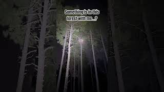 SOMETHING IS IN THIS FOREST #scary #adventure #forest