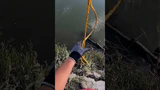 Finding the most at once Magnet Fishing