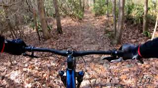 Mountain Biking Crystal Springs