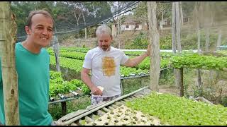 Oque e condutividade elétrica? como funciona a condutividade nas plantas?