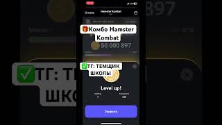 🎁КОМБО HAMSTER KOMBAT🎁 #Hamster #HamsterKombat #Хамстер #ХамстерКомбат #комбо