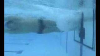 Gustavo Borges - swimming test (50m underwater side view)