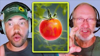 How To Grow The BEST Tomatoes Possible | Craig LeHoullier